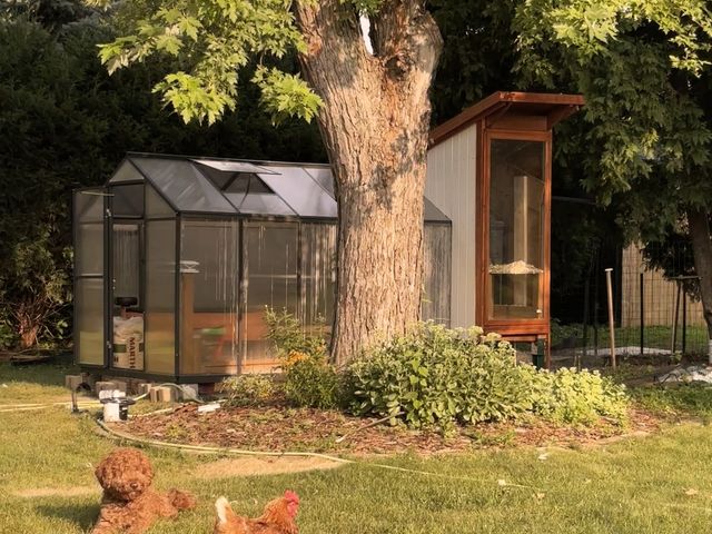 The Greenhouse Coop