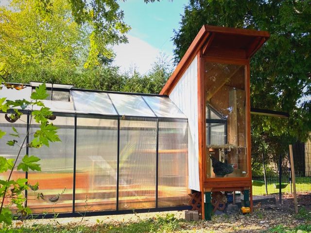 The Greenhouse Coop