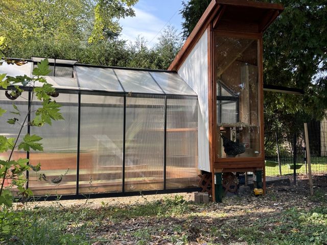 The Greenhouse Coop