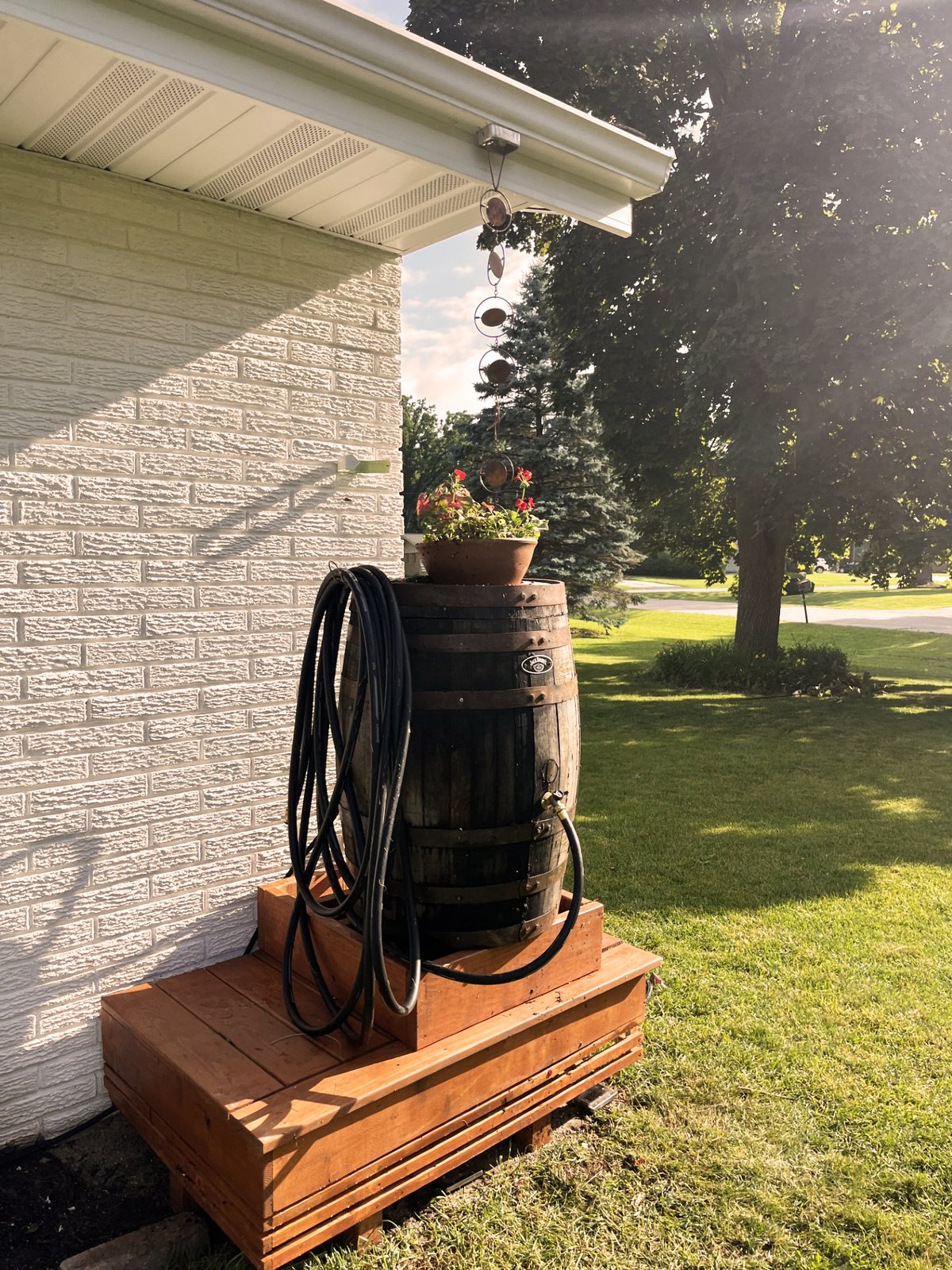 Rain barrel and chain.